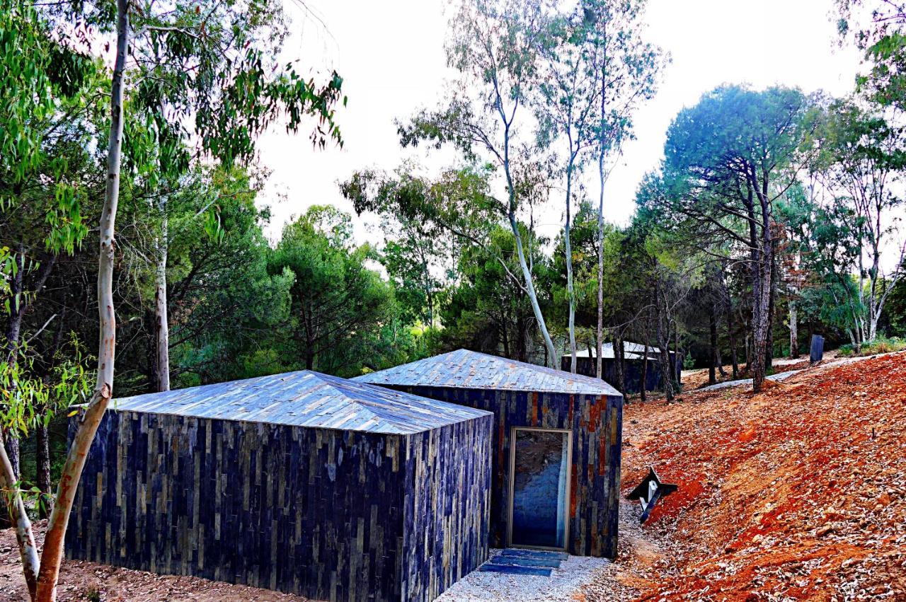 Herdade Clube Tiro 莫佛帝霍 外观 照片