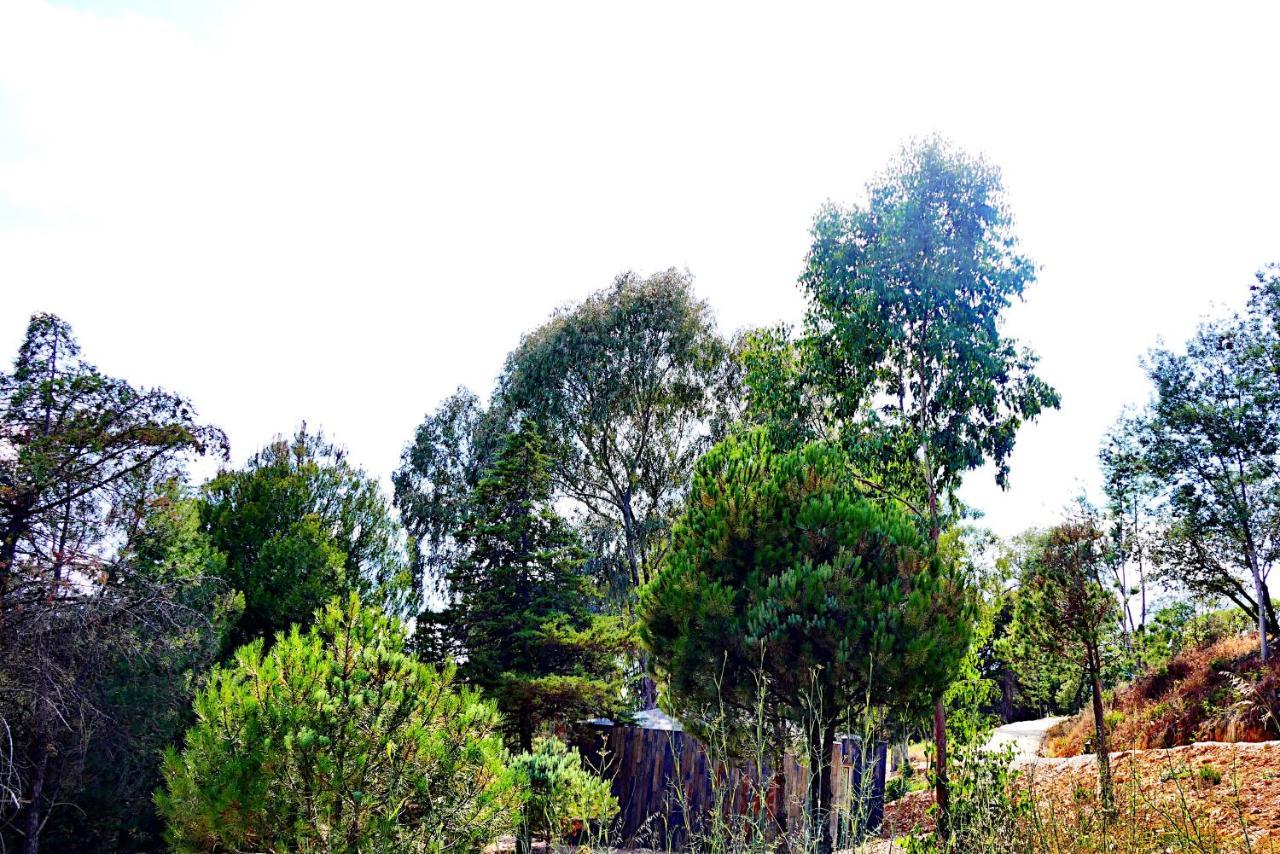Herdade Clube Tiro 莫佛帝霍 外观 照片