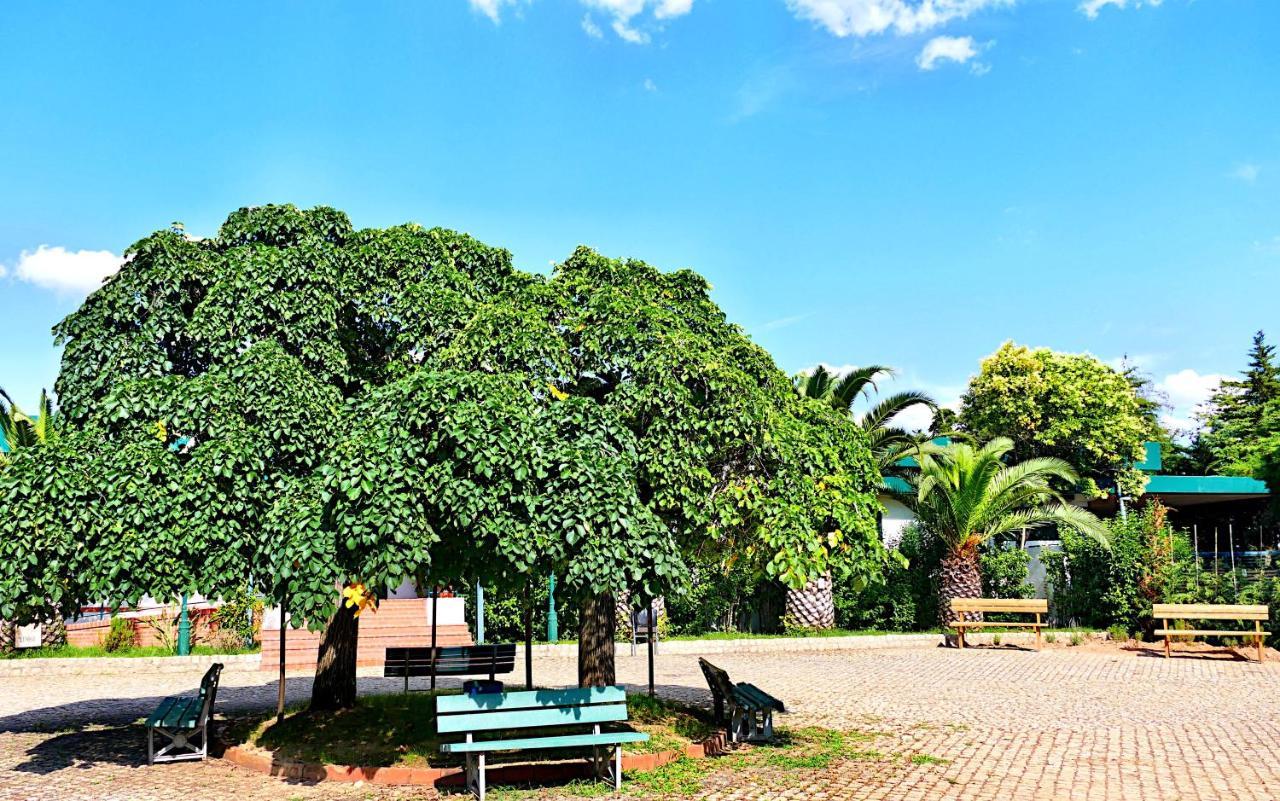 Herdade Clube Tiro 莫佛帝霍 外观 照片